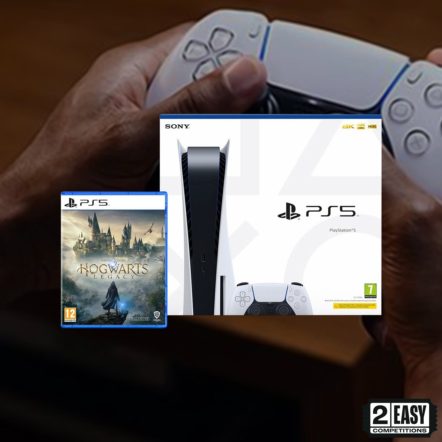 Hogwarts Playstation 5